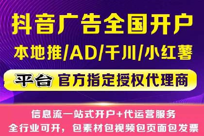 关键词竞价排名策略案例分析